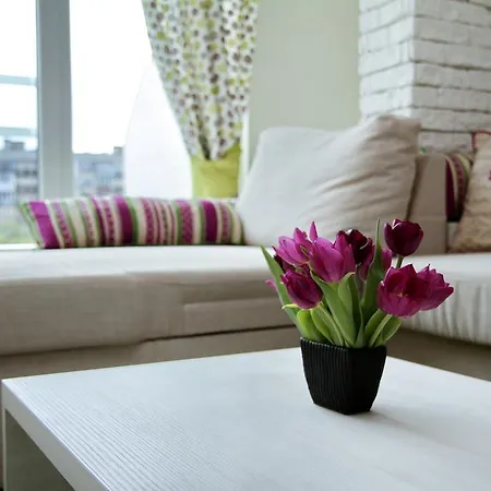 South Park - Louis Eyer Sofia