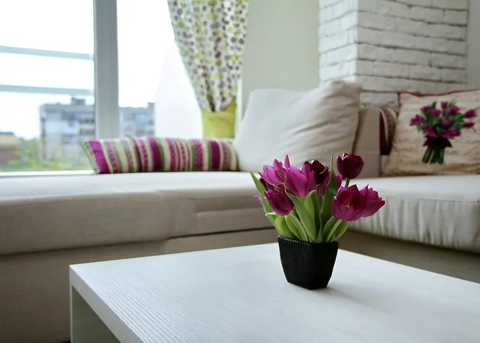 South Park - Louis Eyer Sofia