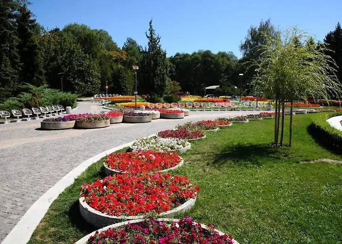 South Park - Louis Eyer Sofya